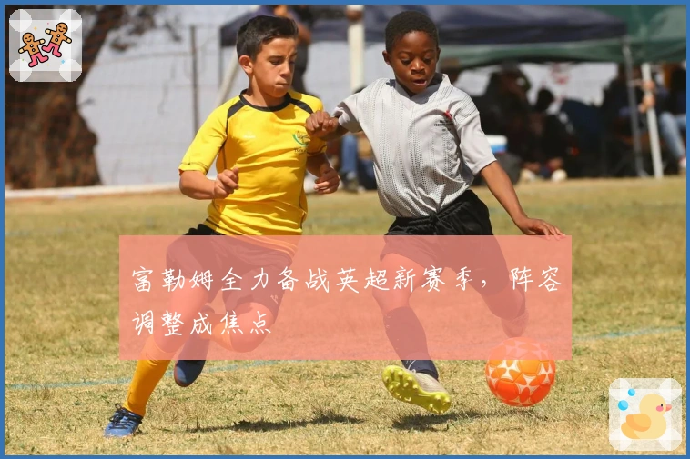 富勒姆全力备战英超新赛季，阵容调整成焦点