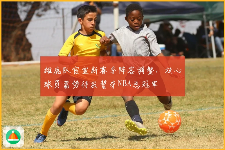 雄鹿队官宣新赛季阵容调整，核心球员蓄势待发誓夺NBA总冠军